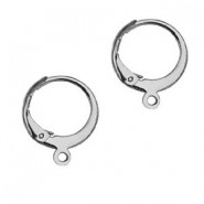 Roestvrij stalen (RVS) oorbellen 14mm met 1 oog sluitbaar Antiek zilver